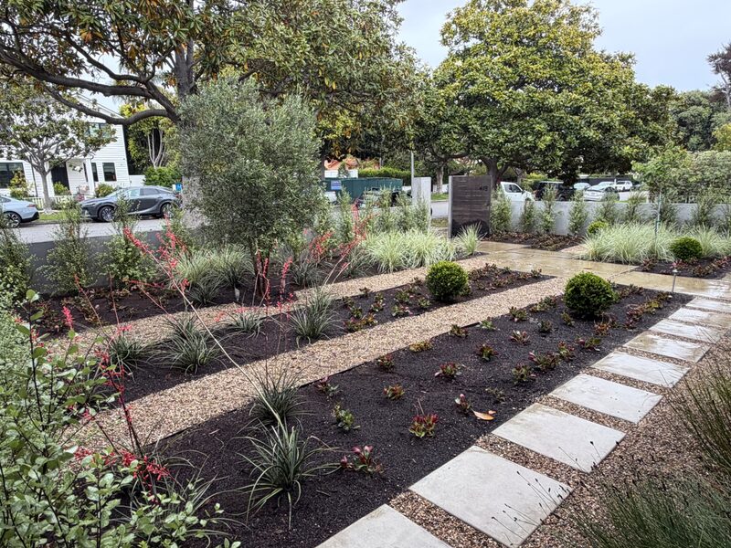 Landscape Design & Install